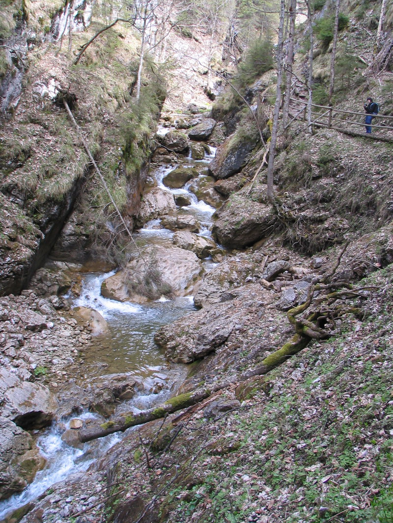 Bärenschützklamm (Medvedia tiesňava, Rakúsko)