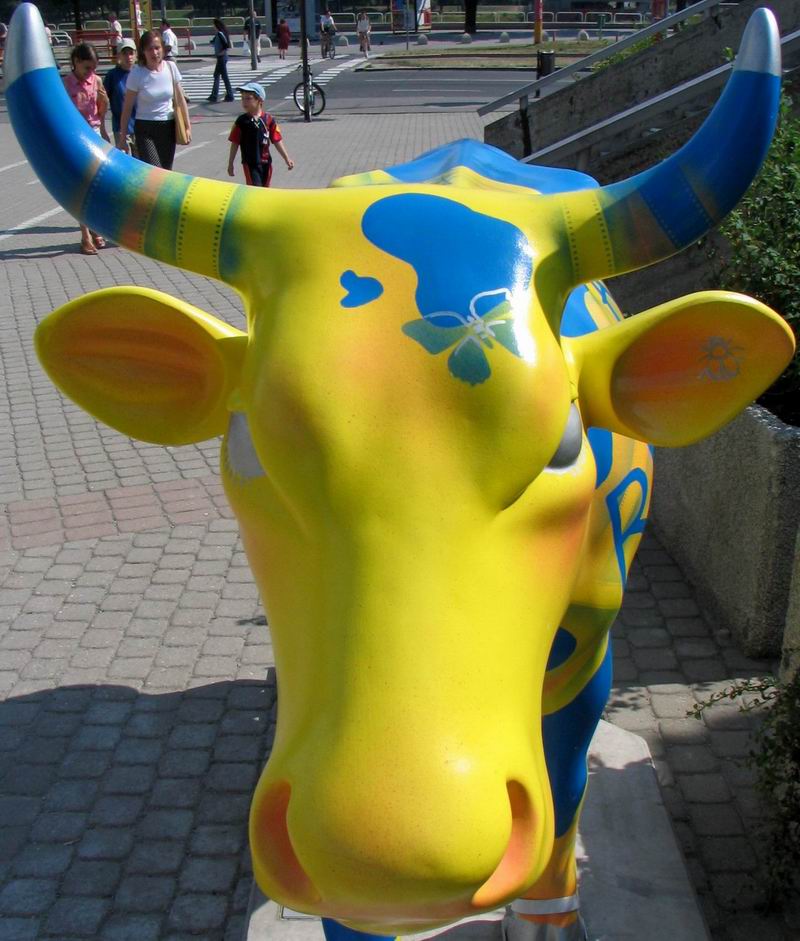Cow Parade Bratislava 2005 - pohľad priamo do očí