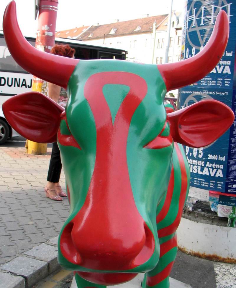Cow Parade Bratislava 2005 - pohľad priamo do očí