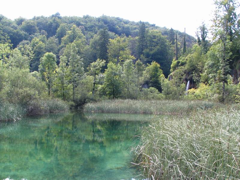 Plitvička jezera, Croatia
Plitvické jazerá, Chorvátsko