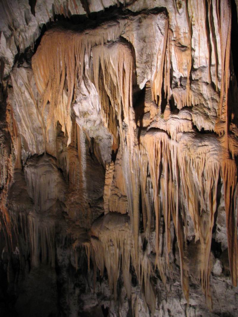 Postojnska jama, Slovenija
