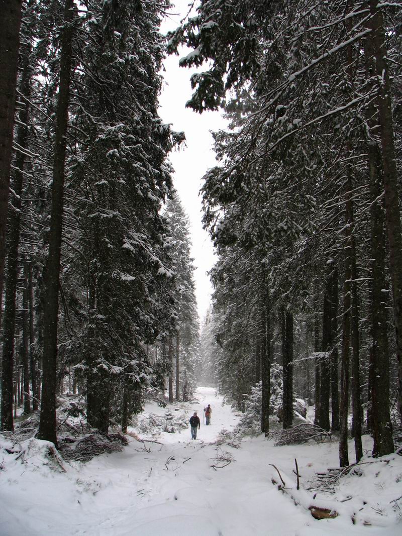 Vysoké Tatry - zimná cesta na Hrebienok