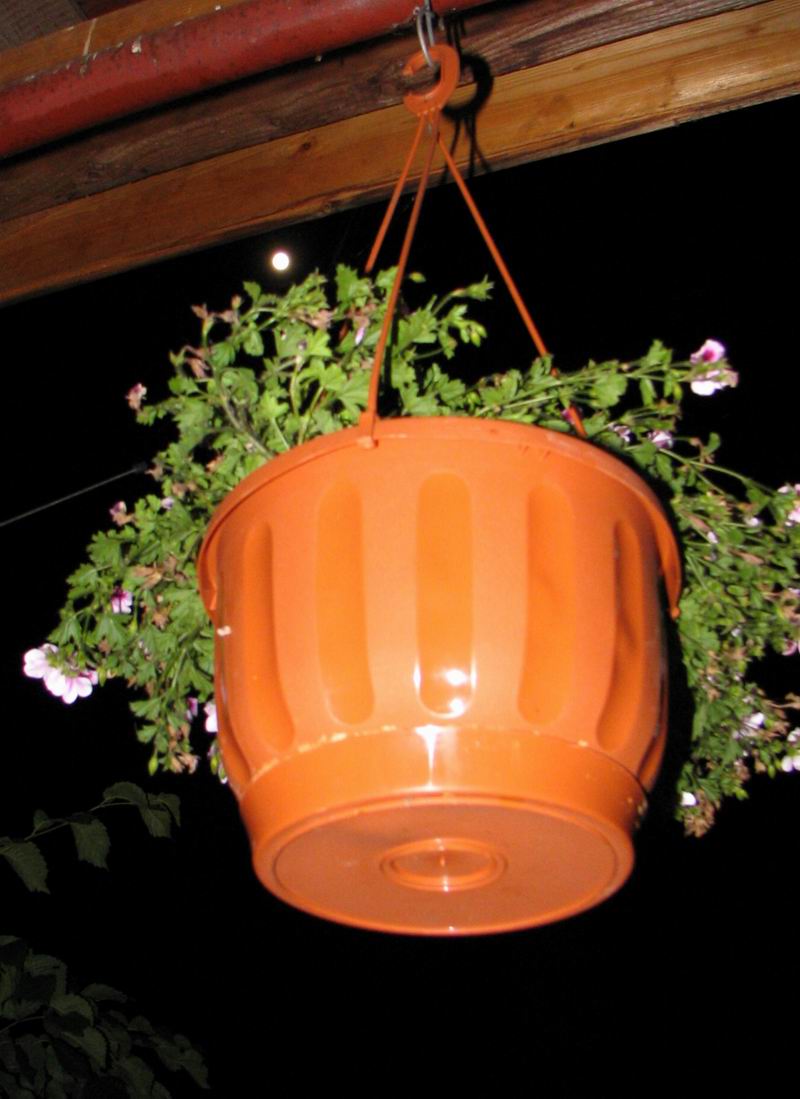 N�hradn� romantika