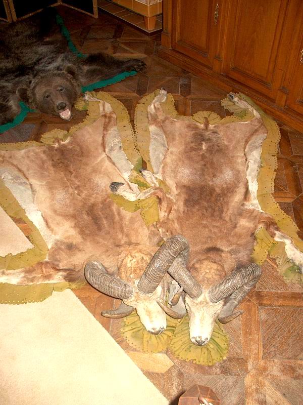 Mufl�ny z Betliara